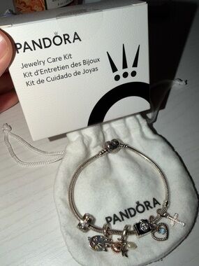Pandora Silver Charm Bracelet with Mixed Charms and Jewelry Cleaning Kit
